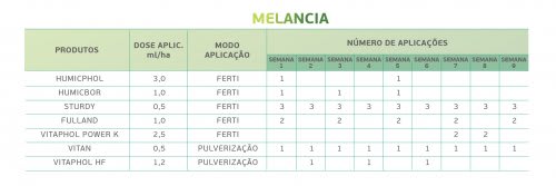 Melancia 3