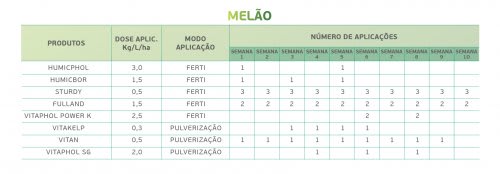 Melão 3