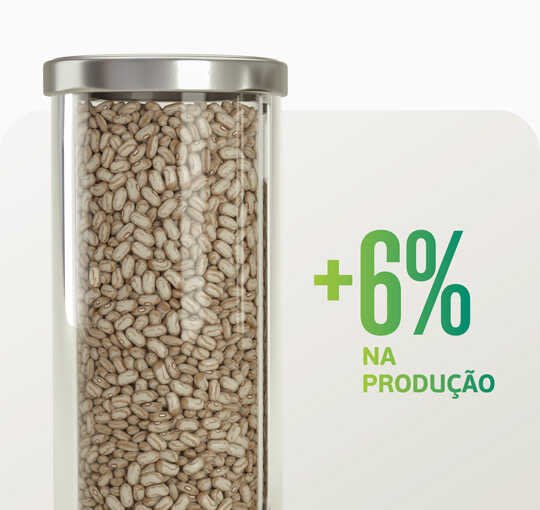 Sturdy no feijão: alta produtividade sem altos custos. Ganhe mais com Satis.