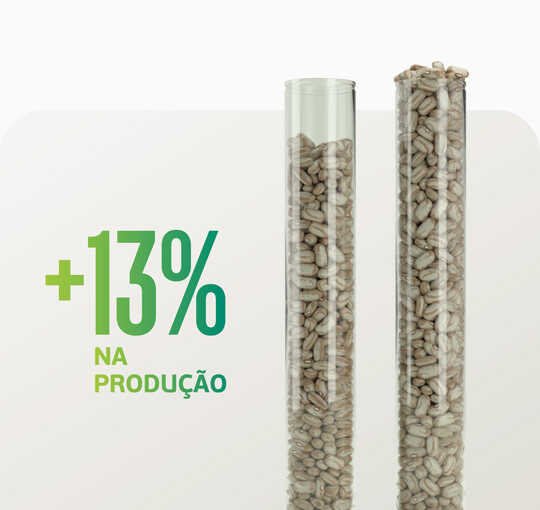 Nutrição vegetal funciona? A da Satis, sim! Veja este exemplo.