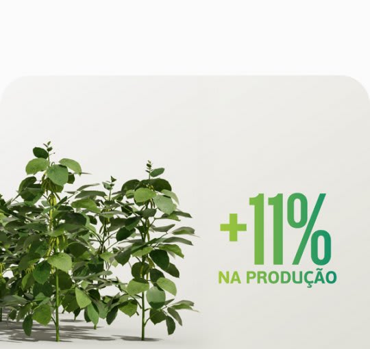 Soluções Satis auxilia as plantas a enfrentar condições adversas. 