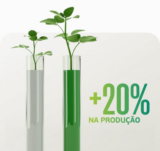 Auxílio no manejo de ferrugem resulta em 20% a mais na produtividade da soja. 