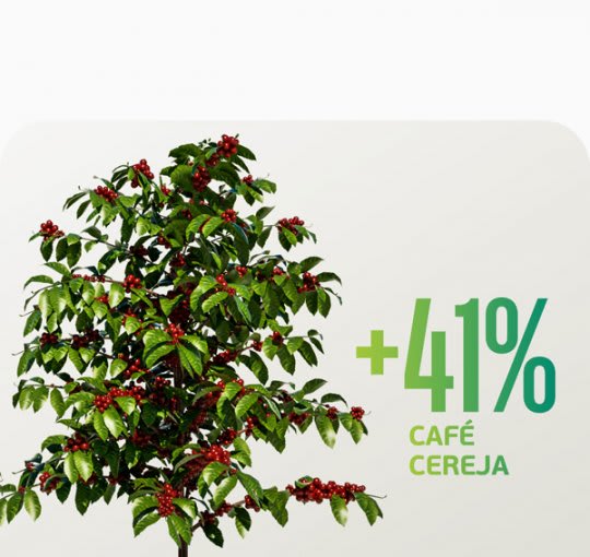 Mais de 41% de café cereja? Veja o que o Mathury pode fazer pela sua colheita.