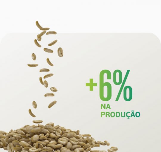 Solução Satis aumenta o vigor do cafeeiro, fazendo-o produzir mais. Veja!