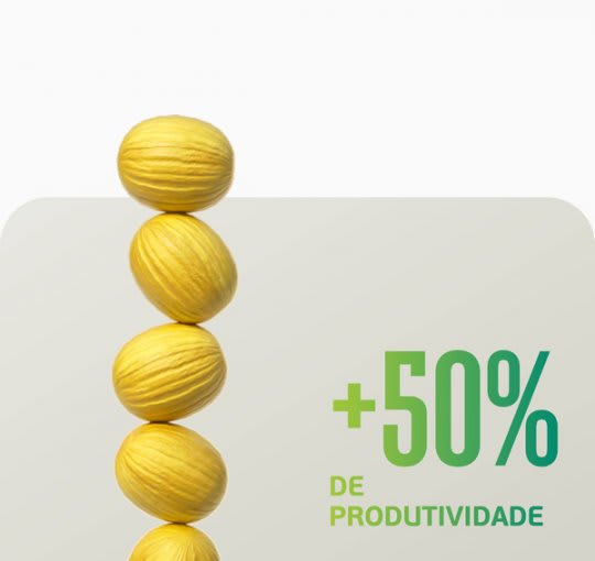 A aplicação de Fulland auxiliou no incremento de 8 toneladas a mais de frutos nobres de melão.