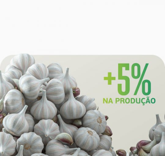 5% a mais na safra de alho? Com Sturdy e Fulland é possível.