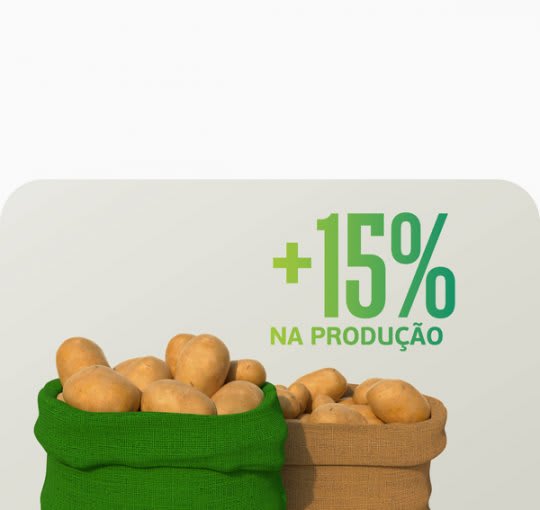 Aumento de 15% na produtividade da lavoura de batata com aplicação de Fulland!