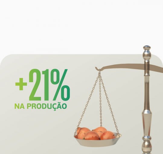 Quer aumentar em mais de 21% a produção de cebola? Veja como!