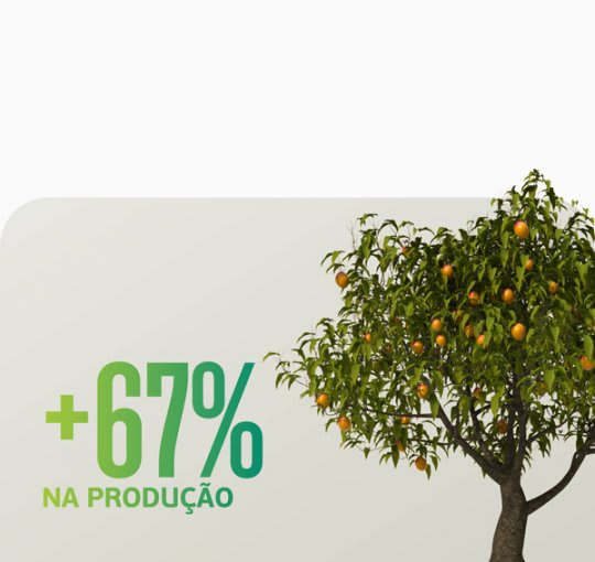 Com Humicbor você produz manga além da conta!